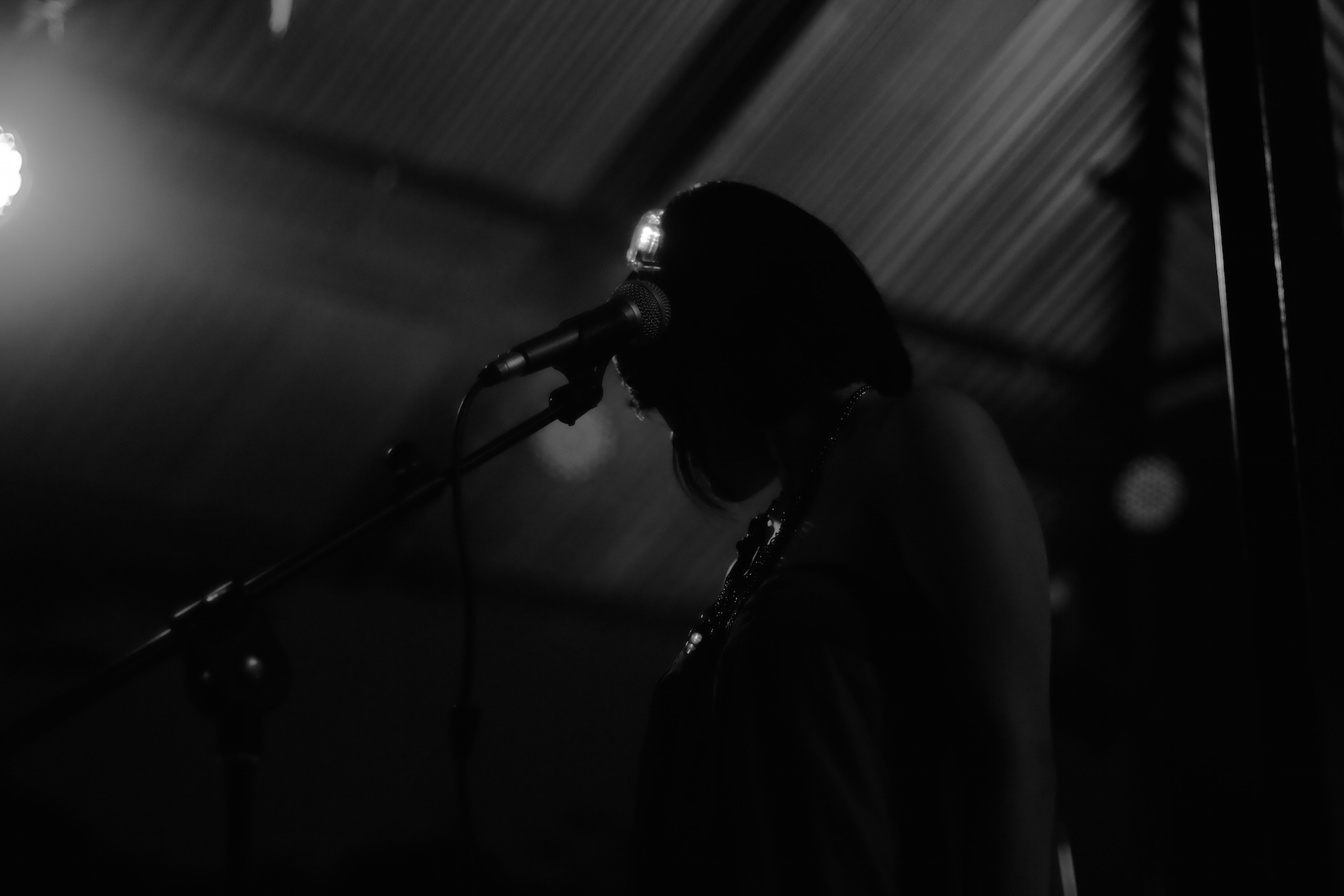 Lightchestra 2015